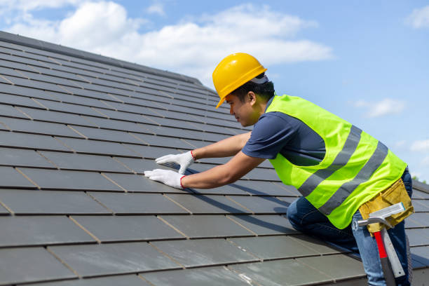 Best Roof Gutter Cleaning  in Ester, AK