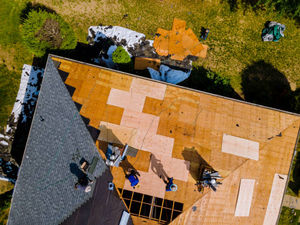 Best New Roof Installation  in Ester, AK