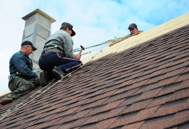Quick and Trustworthy Emergency Roof Repair Services in Ester, AK